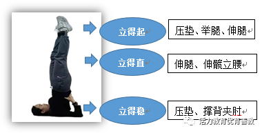 体操技巧动作要领_体操的技巧_学生体操技巧展示图