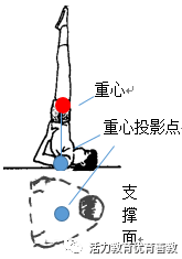 学生体操技巧展示图_体操技巧动作要领_体操的技巧